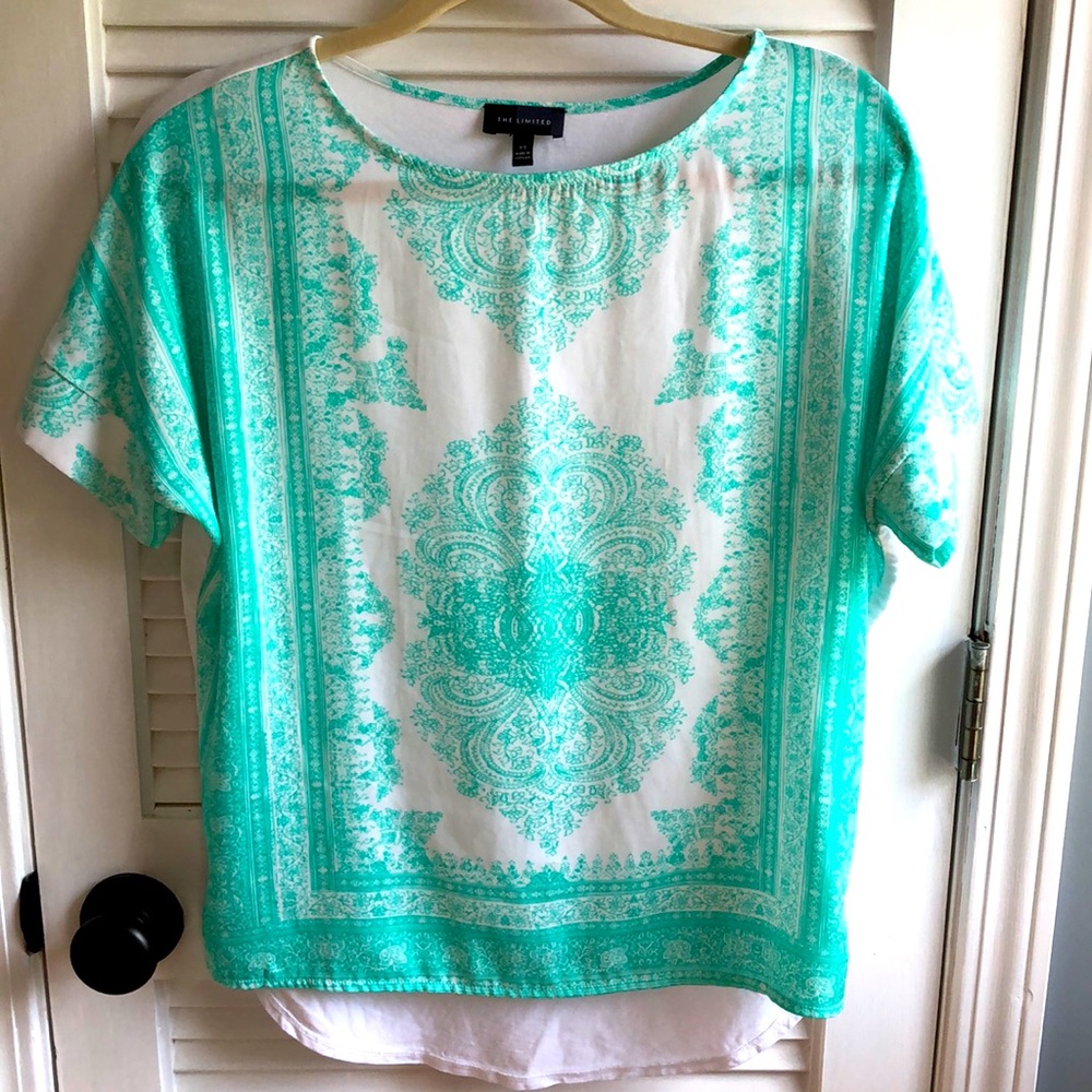 The Limited Blouse